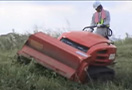 CG431(Stand-on Tracked Flail Brushcutter)