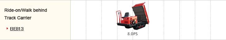 Ride On/Walk ehind Track Carrier